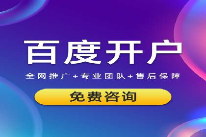 落地页在SEM优化中的重要性及成功案例
